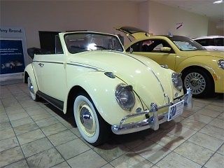 Volkswagen Beetle-New