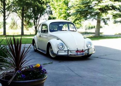 1965 volkswagen beetle ( vw bug ) rare restored classic