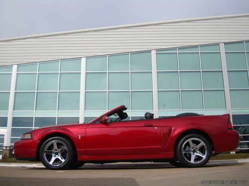 2004 ford mustang svt cobra convertible, rare one of 209, one owner,clean carfax